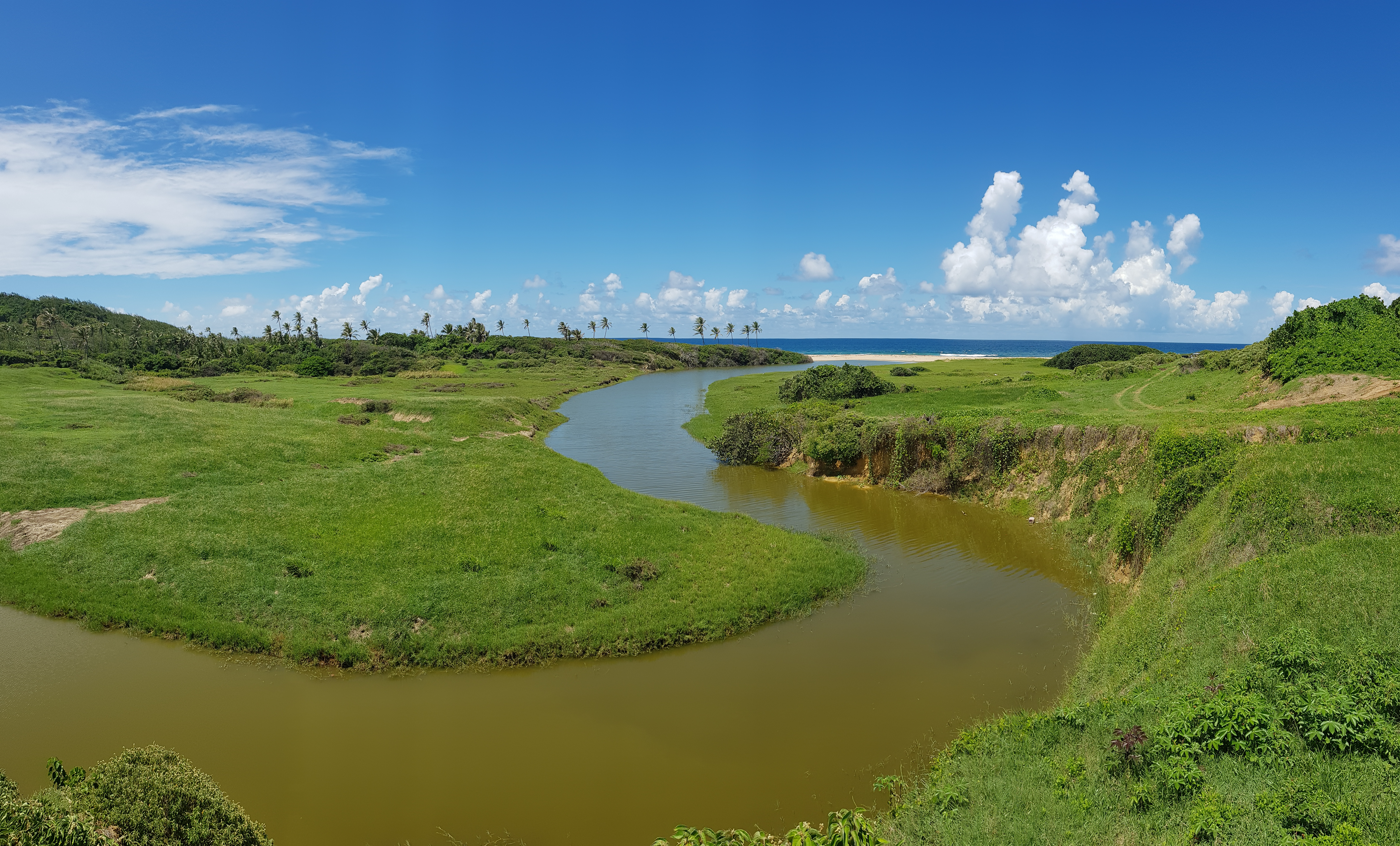 Barbados Dale Benskin IUCN