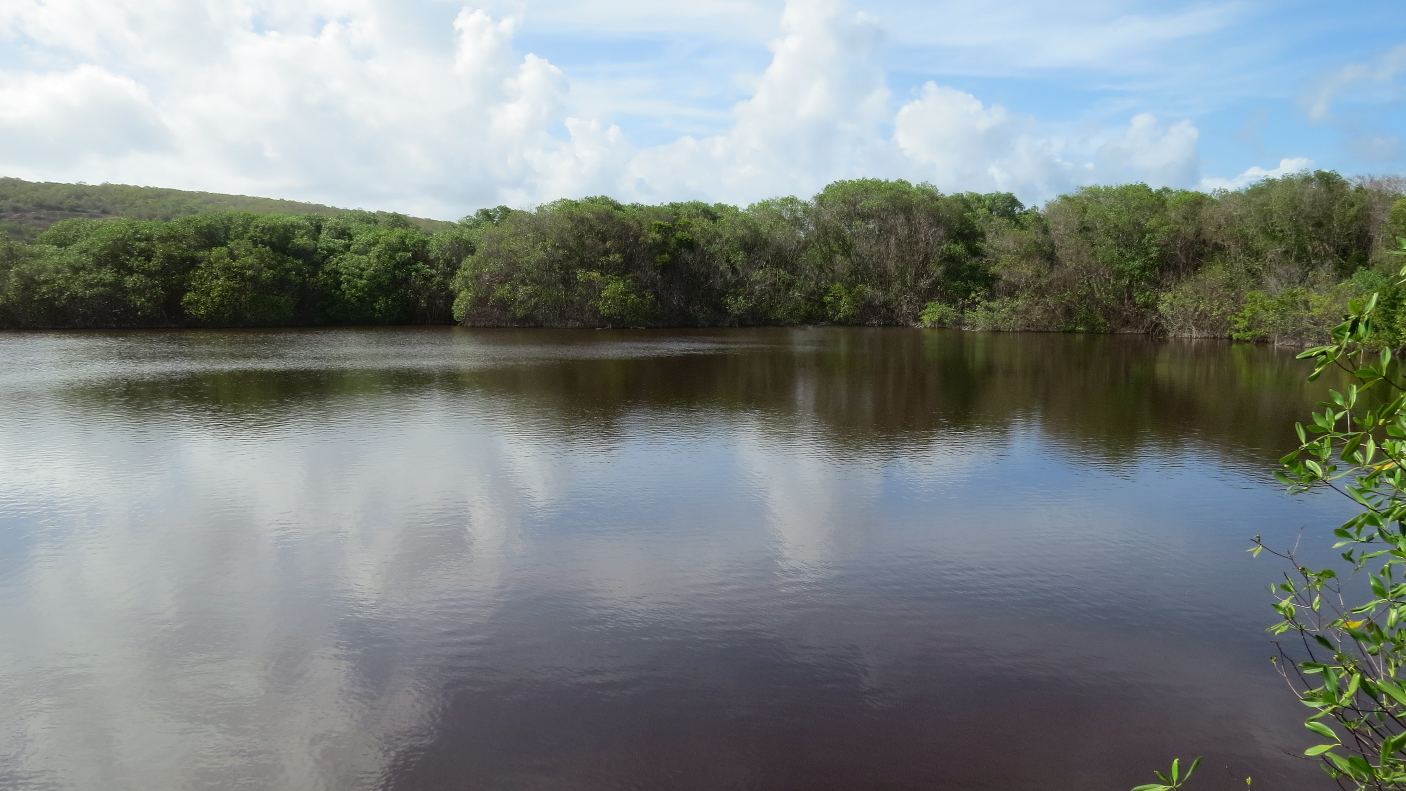 Levera Wetland