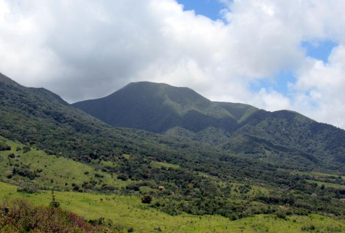 The Central Forest Reserve 